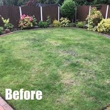 Our annual lawn maintenance programs like fertilization and weed plans make it easy to ensure your lawn will look its best no matter the time of year. Renovation Green Man Lawn Care