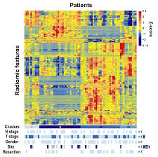How do you get pancreatic cancer? Cancers Free Full Text Radiomics Based Outcome Prediction For Pancreatic Cancer Following Stereotactic Body Radiotherapy Html