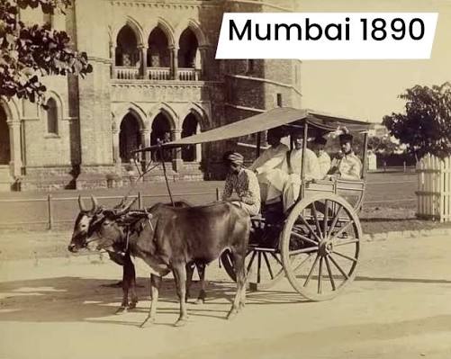Passenger Bullock Carts In Bombay - Circa 1870's
