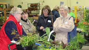 Gardeners Connect celebrates 60 years in Kansas City