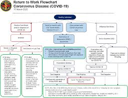 Https Www Whs Mil News News Display Article 2119336 Return To Work Guidelines Covid 19