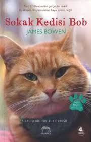 Sokak Kedisi Bob James Bowen Kitap Yavru Kediler Kedi