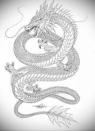 They make excellent back tattoos or sleeves. Dragon Tattoo Sketch 23 01 2020 005 Dragon Tattoo Tattoovalue Net Tattoovalue Net