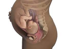 It usually causes stomach problems in babies, accompanied by sickness. Pregnancy Week By Week Babycenter