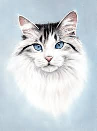 Draw a jack russell | pastel pencils. Beautiful Long Haired Cat Drawing With Pastel Pencils Kitten Art Realistic Cat Drawing Soft Pastel Art