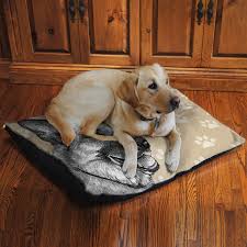 We did not find results for: Lauralhome German Shepherd Fleece Dog Bed Wayfair