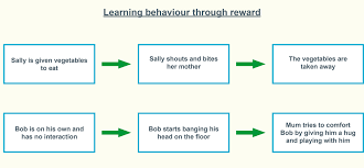 Challenging Behaviour — Camhs