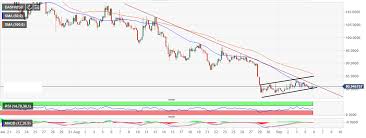 Dash Price Analysis Dash Usd Averts Bearish Flag Pattern