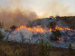 Avanzan incendios en cordoba y advierten que el fuego esta descontrolado primera edicion. En Una Jornada Calurosa Siguen Activos Varios Focos De Incendios En Cordoba