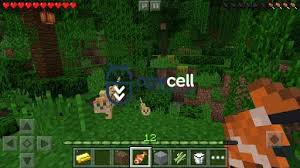 Minecraft Pocket Edition V1 11 0 9 Mod Apk Mega Hileli Minecraft Android Game