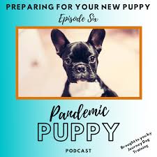 Puppy imprinting, puppy socialization, puppy training for denver, aurora, lakewood, westminister and surrounding areas. Ep 06 Preparing For Your New Puppy Journey Dog Training