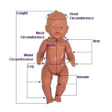 How To Measure Your Doll For Clothes And Shoes