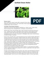 Khasiat yang ada di daun belalai gajah ini sangat bagus buat detoksifikasi pada tubuh kamu cuy. Tanaman Belalai Gajah