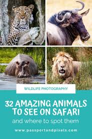 Enjoy our collection of fun kids activities themed around african animals, including colouring pages, printables, crats, jigsaws and much more. Top 32 African Safari Animals A Photo Guide Passport Pixels