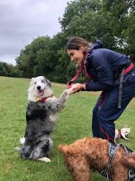 Trusted dog sitters near you, no more cages! The Dog Walking Sisters Of Bristol Pawshake Blog