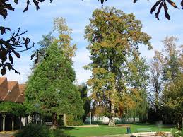 Photo A Riberac 24600 Riberac Jardin Public 35171 Communes Com