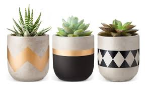 The finished product can be covered with an. Mkono Cement Succulent Planter Set Of 3 Concrete Plant Pots Modern Flower Pots Indoor For Cactus Herb Or Small Plants Home Decor Gift Idea Plants Not Included 4 Buy Online In Oman