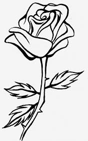Line Drawing Of Roses Line Drawing Rose Clipartsco Photo Line Drawing Of Roses Line Drawing Rose Clipartsco Roses Drawing Flower Line Drawings Flower Drawing