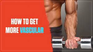 Learn about what a vascular technician does, skills, salary, and how you can become one in the future. How To Get More Vascular In 4 Mostly Easy Steps Legion Athletics