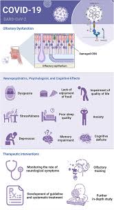 Image result for Drug-Induced Olfactory Dysfunction