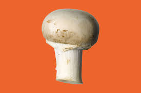 Check spelling or type a new query. 14 Types Of Mushrooms And Their Uses Epicurious