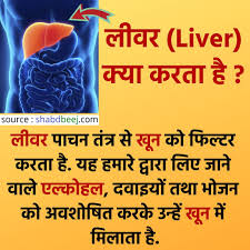 Pin On Health स व स थ य