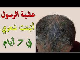 مكون أوصانا به النبي ﷺ ينبت ويمنع تساقط الشعر ويملأ الفراغات شاهد الطريقة الصحيحة للنساء والرجال youtube grow hair beautiful women jowl