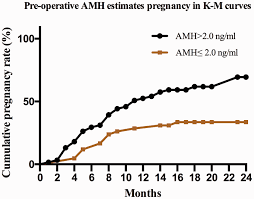 Cumulative pregnancy rate in different groups. AMH, anti-Müllerian...