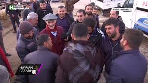 Hayvan Pazari Kangal Erkek Toklu Fiyati Osmaniye 2018 Youtube