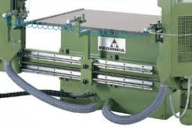 Image result for Frommia