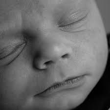 TOP 10 BEST Photographers near Morganfield, KY