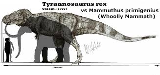 Tyrannosaurus Vs Whooly Mammoth Size Comparison James