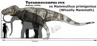 tyrannosaurus vs whooly mammoth size comparison james