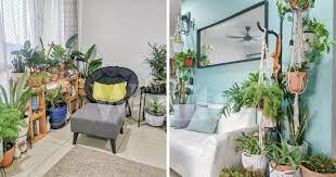 Pencemaran udara dalam rumah lebih buruk dari luar rumah. Berkebun Di Apartment Tip Tanaman Indoor Hidup Lama Senang Jaga Mingguan Wanita