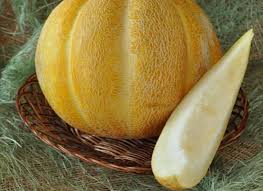 Check spelling or type a new query. Melon Ethiopia Cara Memilih Kandungan Kalori Penanaman Foto