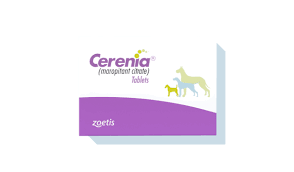 You can get the best discount of up to 55% off.the new discount codes are constantly updated on couponxoo. Helping You Pay For Future Vet Care Zoetis Petcare