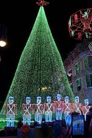 Cjristmas Tree In Lights By Charles Ridgway In 2020 Disney Holiday Disney World Christmas Decorating With Christmas Lights