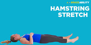 Pin On Exercises After A Microdisectomy And Laminectomy