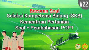 Contoh soal tiu cpns tes logika umum. Bocoran Soal Skb Penyuluh Pertanian Guru Paud