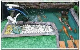Maka dari itu, ciptakan kolam yang cukup terang. Cara Membuat Kolam Ikan Hias Minimalis Sendiri Jasa Terdekat