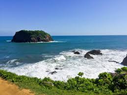 Trofeo de copa, trofeo, oro, feliz cumpleaños vector imágenes, reino libre png. Jelajahi 10 Pantai Terbaik Di Jawa Barat Berikut Ini 2020