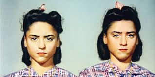 'How to Be Multiple' and 'Twinkind' Review: Thinking Twice