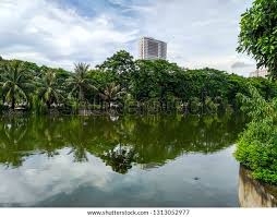 Lake Linh Dam Hanoi Stock Photo 1313052977