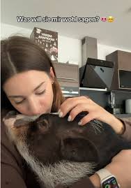 Luna: Das besondere Haustier Schwein der Welt