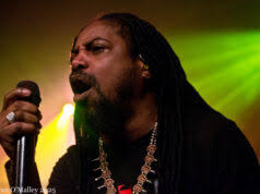 Colorway and Flux Capacitor Greenfield MA root cellar