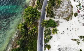 Kara dlanio nude pics foreign appearance with the Russian