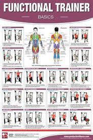 Super angebote für cable machine hier im preisvergleich. 24 Cable Machine Ideas Cable Workout Cable Machine Workout