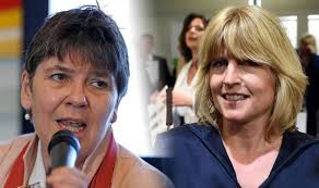 European elections 2019: What parties can you vote for in EU election? Who  is standing?