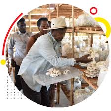 1944) is a ugandan politician who has been president of uganda since 29 january 1986. President Yoweri Kaguta Museveni