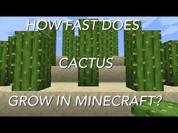 I'm trying to get the admins to tell me the randomtickspeed. How To Break Cactus Faster Minecraft